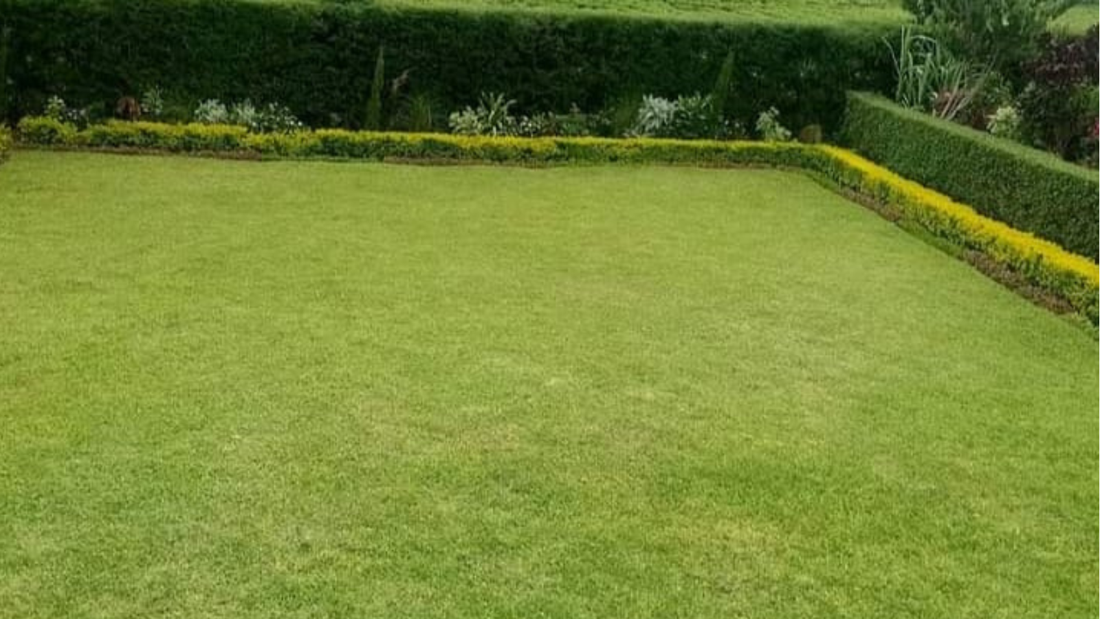 T-point park gola road