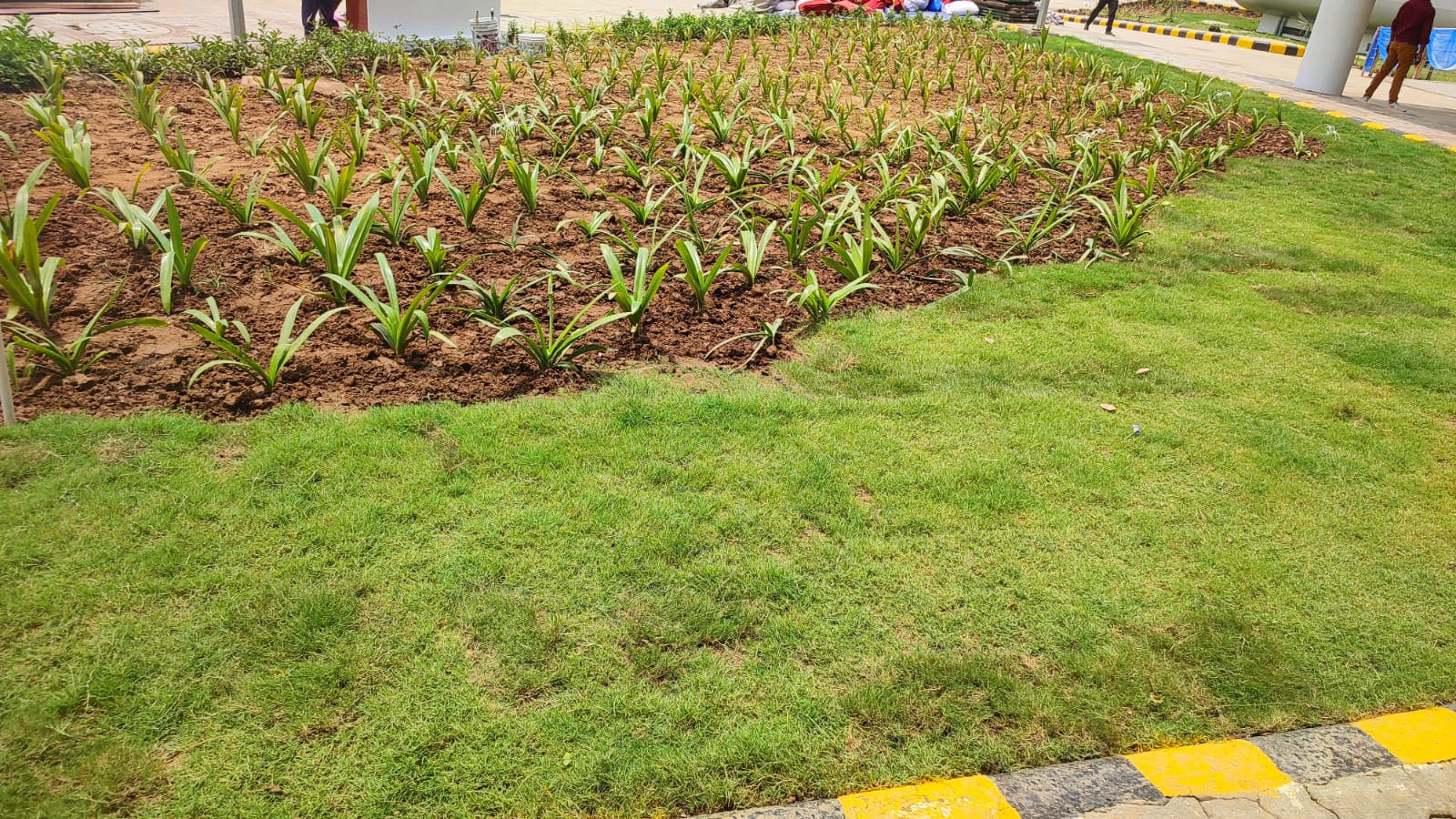 WhatsApp Image 2025-06-12 at 1.22.26 PM (1)