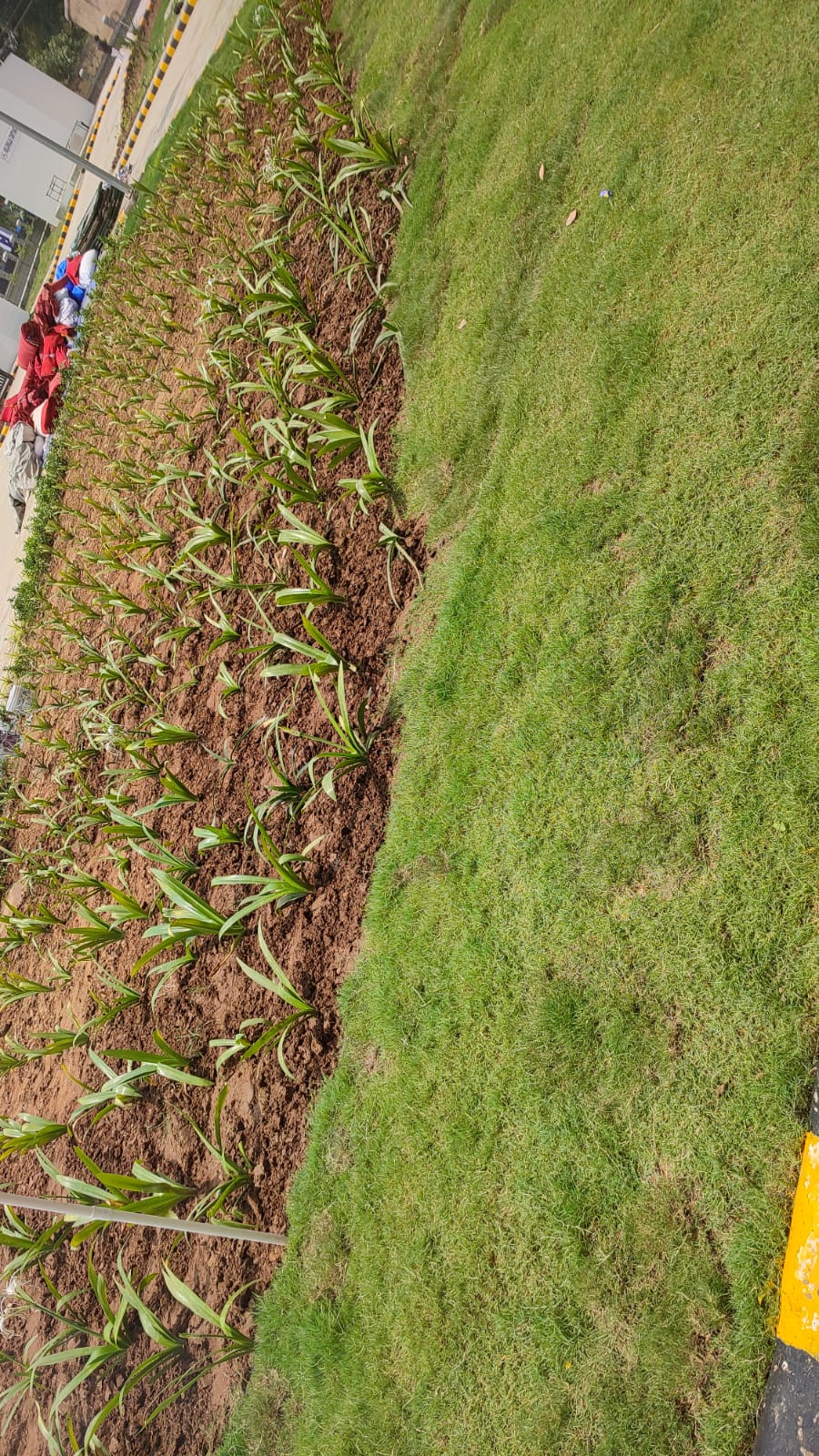 WhatsApp Image 2025-06-12 at 1.22.26 PM