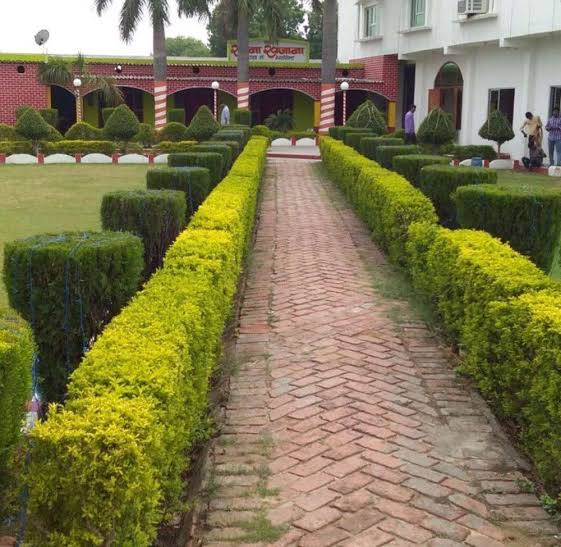 WhatsApp Image 2025-06-12 at 1.24.07 PM (1)