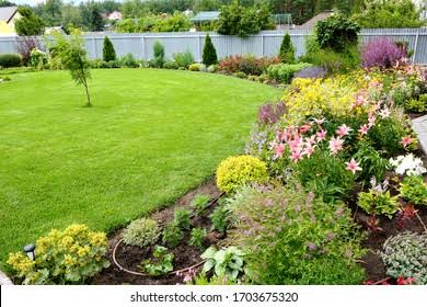 WhatsApp Image 2025-06-12 at 1.24.07 PM (2)