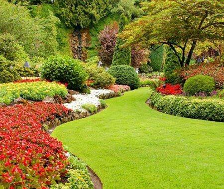 WhatsApp Image 2025-06-12 at 1.24.08 PM