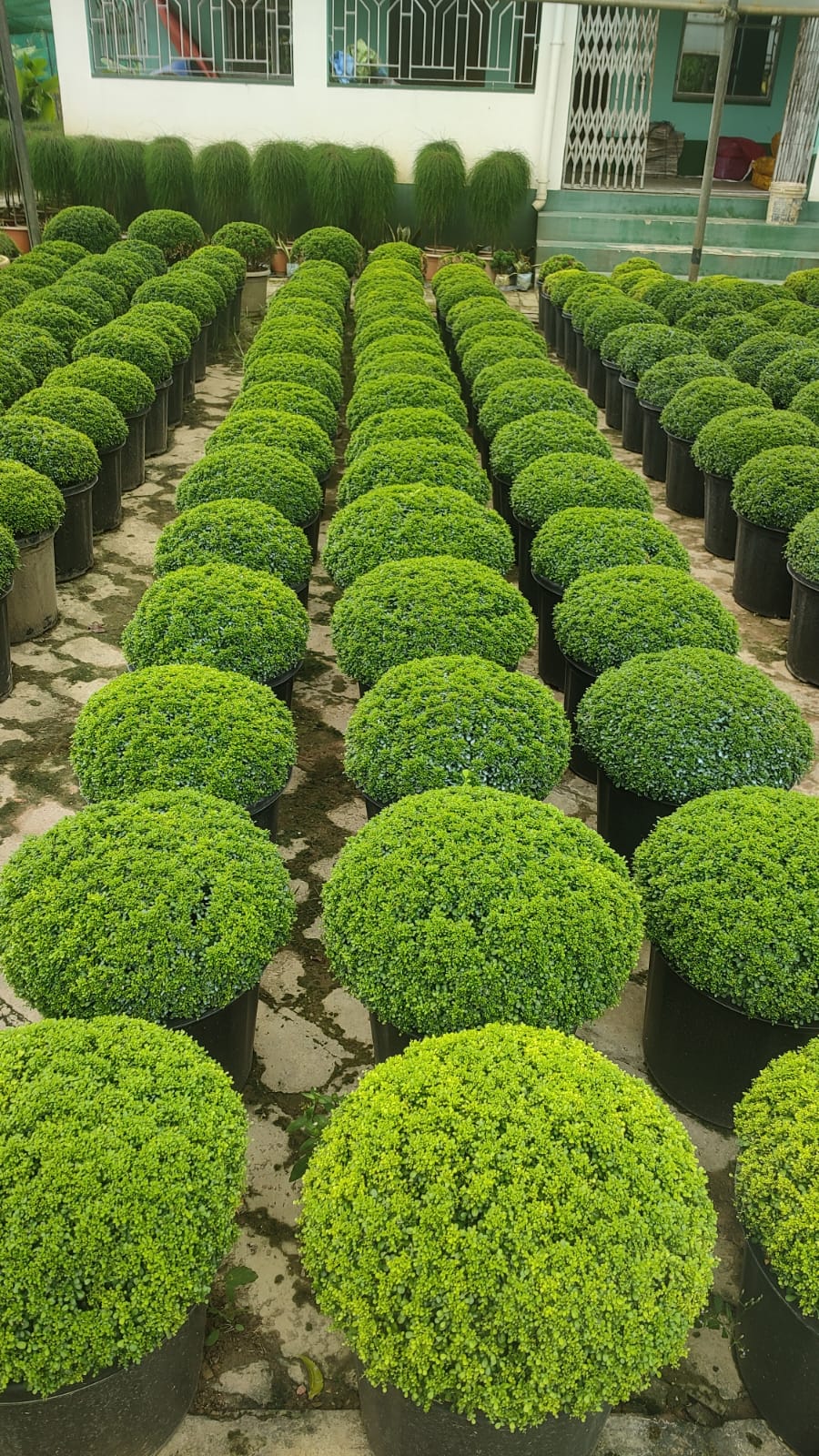 WhatsApp Image 2025-06-12 at 1.24.09 PM