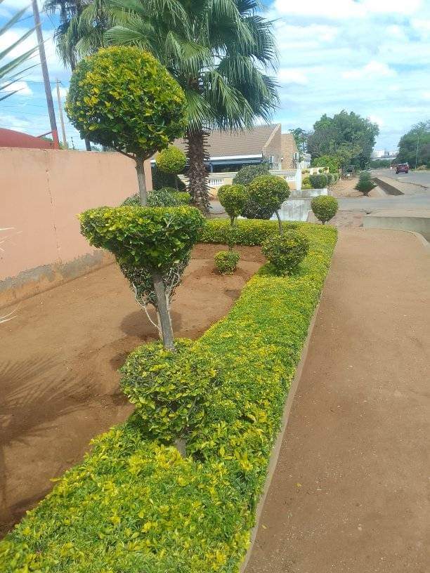 WhatsApp Image 2025-06-12 at 1.24.11 PM (2)