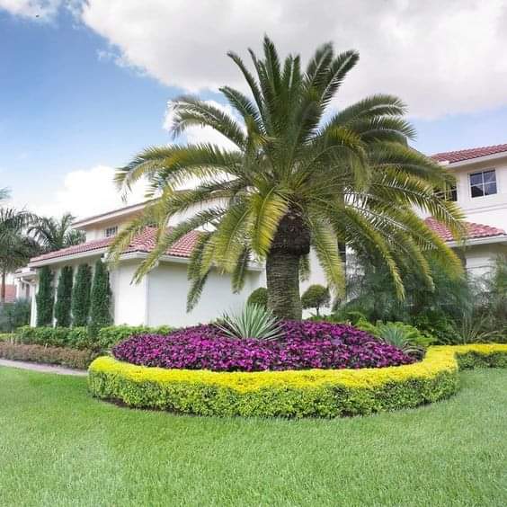 WhatsApp Image 2025-06-12 at 1.24.12 PM (2)