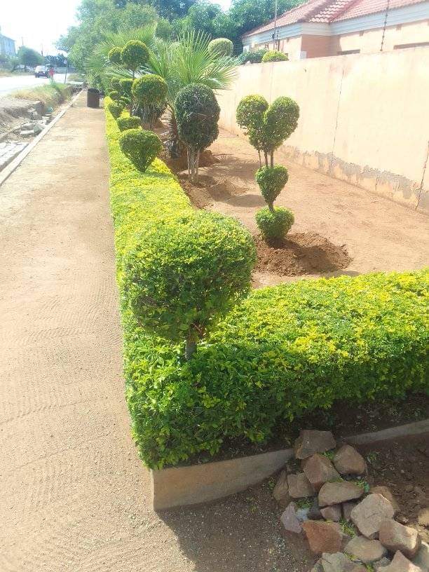 WhatsApp Image 2025-06-12 at 1.24.12 PM