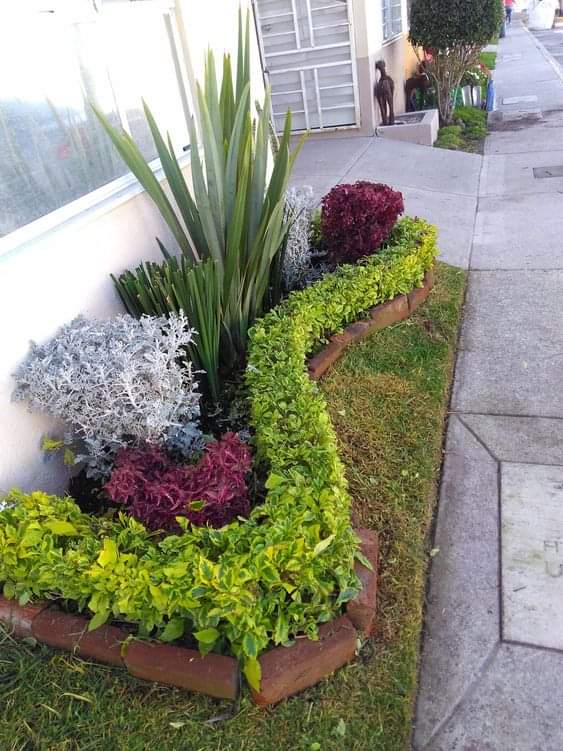 WhatsApp Image 2025-06-12 at 1.24.13 PM (1)