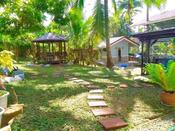 WhatsApp Image 2025-06-12 at 1.24.13 PM (2)