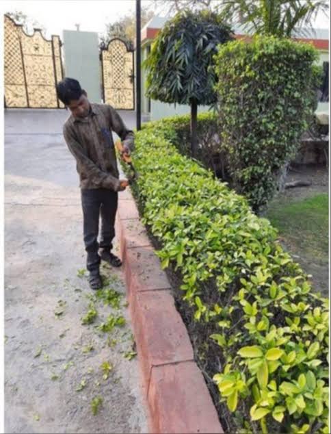 WhatsApp Image 2025-06-12 at 1.25.06 PM (1)