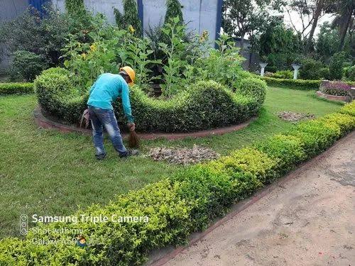 WhatsApp Image 2025-06-12 at 1.25.06 PM