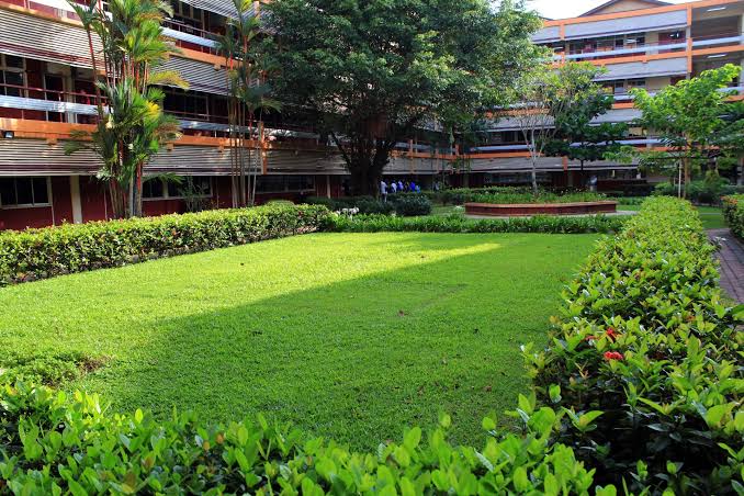 WhatsApp Image 2025-06-12 at 1.25.07 PM (1)