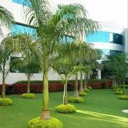 WhatsApp Image 2025-06-12 at 1.25.07 PM (2)